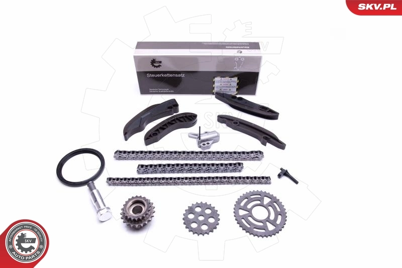 Timing Chain Kit